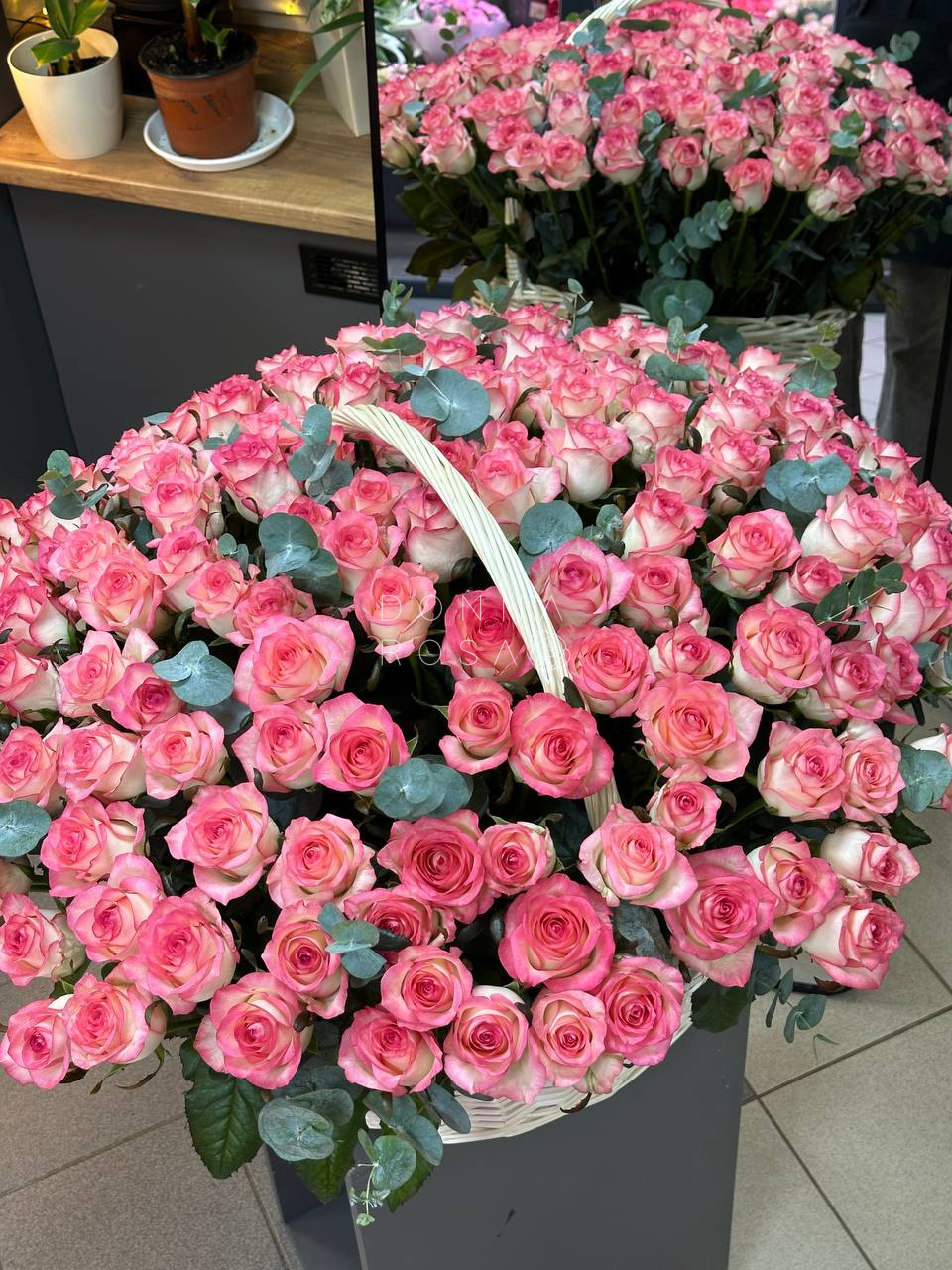 Корзина из 155 роз Джумилия