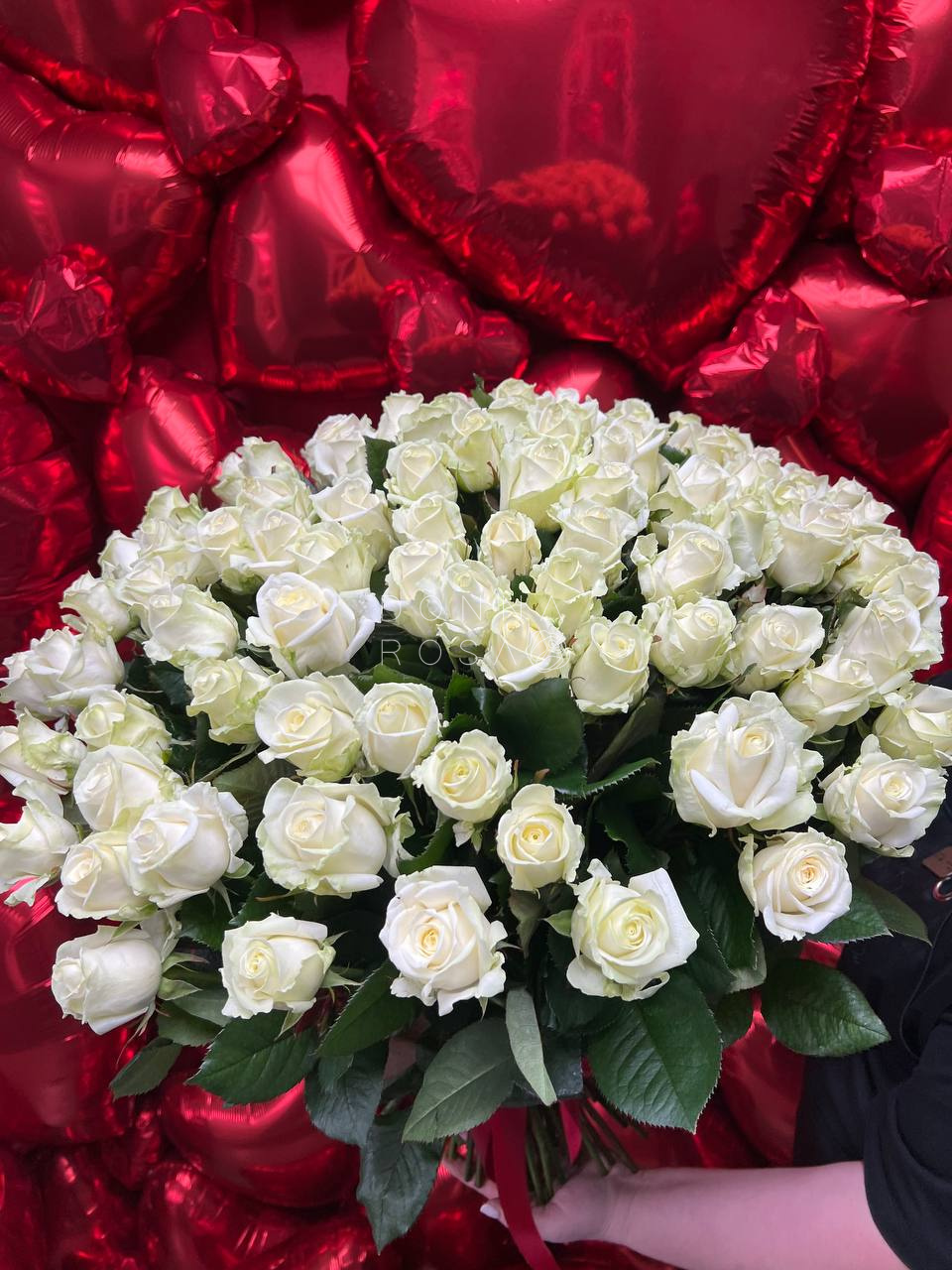 Букет из 101 розы Аваланж с Лентой 