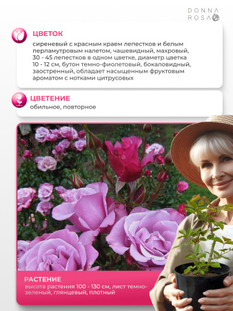 BARBARA STREISAND (БАРБАРА СТРЭЙЗАРД) №76