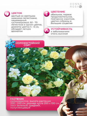 MALVERN HILLS (МАЛВЕРН ХИЛЛС) №01