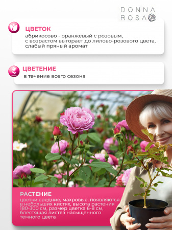 INA AN MONA (ИНА АН МОНА) №06