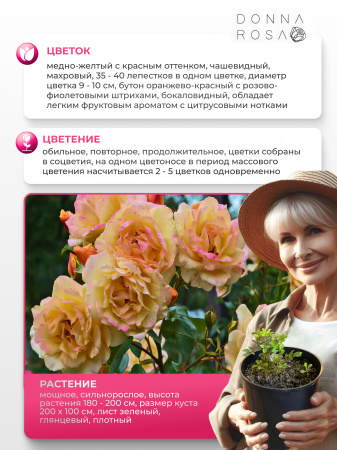 MICHKA (МИШКА) №21