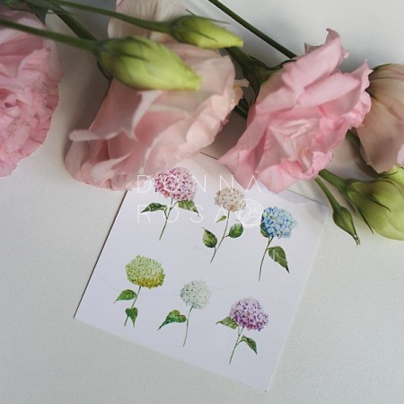 Карточка Цветы 