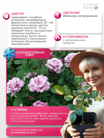 CHARLES DE GAULLE (ЧАРЛЬЗ ДЕ ГАУЛЛЕ) №112