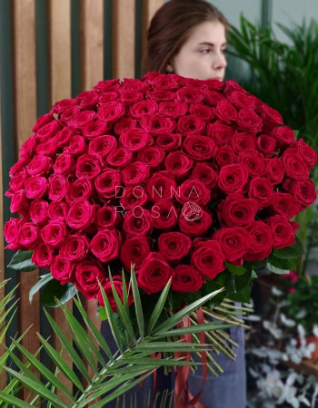 Букет из 101 красной розы Red Naomi 80 см с лентой