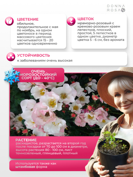 BINGO MEILLANDECOR (БИНГО МЭЙЛАНДЕКОР) №30
