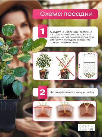 JULIO IGLESIAS (ДЖУЛИО ИГЛЕСИАС) №107