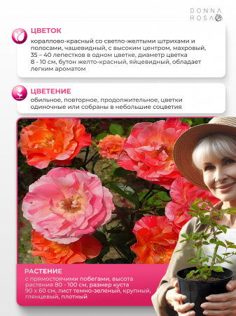 PAUL GAUGUIN (ПОЛ ГУГЕН) №56