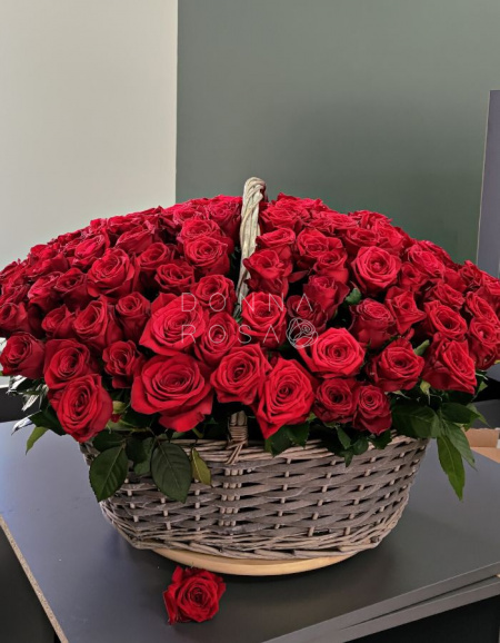 Корзина из 151 розы Red Naomi