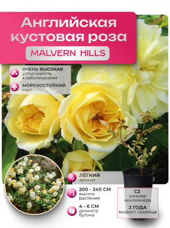 MALVERN HILLS (МАЛВЕРН ХИЛЛС) №01