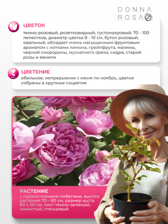 ELODIE GOSSUIN (ИЛОДИ ГОСЬЮА) №17