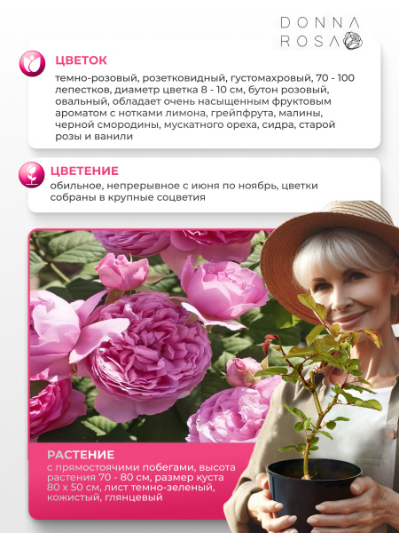 ELODIE GOSSUIN (ИЛОДИ ГОСЬЮА) №17