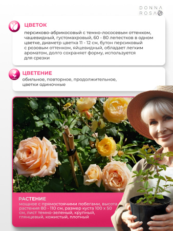 ANAHE (АНАХ) №64