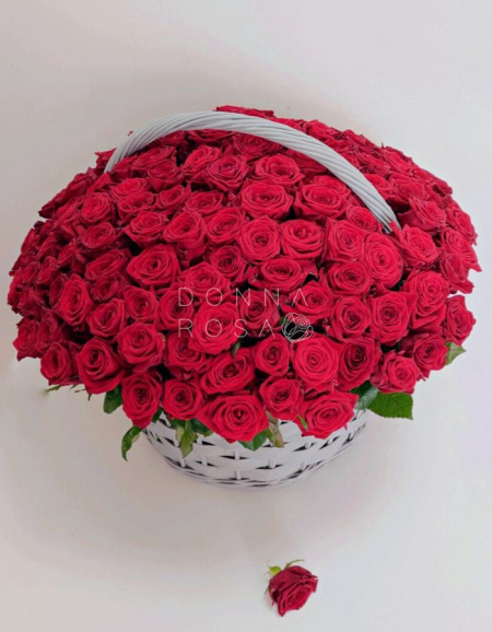 Корзина из 151 розы Red Naomi