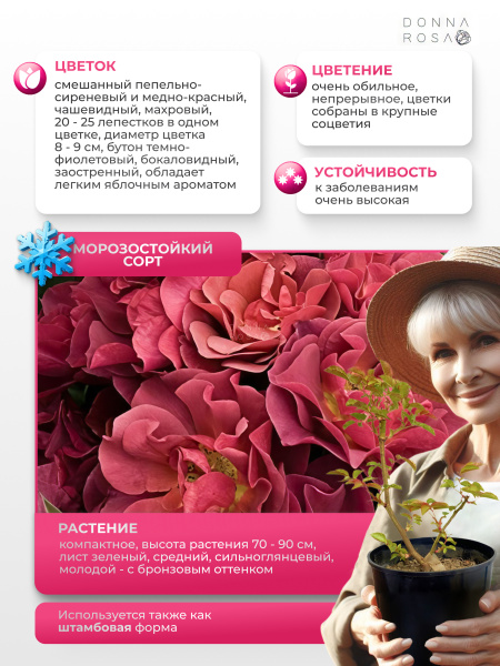 CINCO DE MAYO (СИНКО ДЕ МАЙО) №80