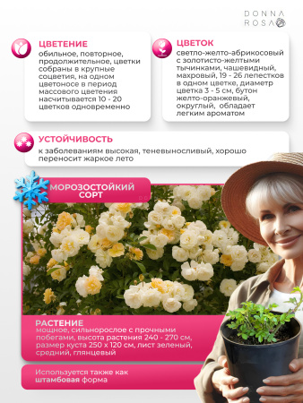 GHISLAINE DE FELIGONDE (ГИСЛЕН ДЕ ФЕЛИГОНД) №60