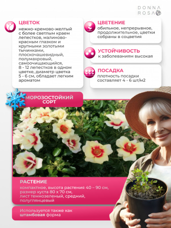 GLORIOUS BABYLON EYES (ГЛОРИОУС БАБИЛОН АЙЗ) №25