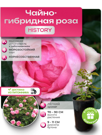 HISTORY (ХИСТОРИ) №77