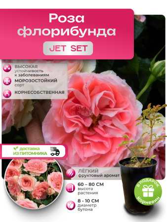 JET SET (ДЖЕТ СЕТ) №32