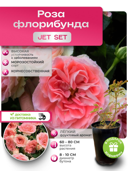 JET SET (ДЖЕТ СЕТ) №32