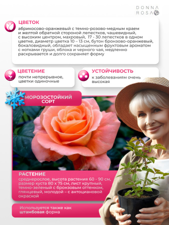 FLORA DANICA (ФЛОРА ДАНИКА) №69