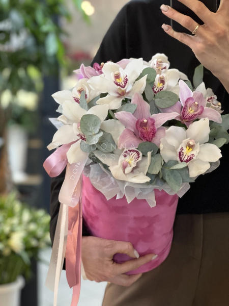 Коробка с цимбидиумом Feel