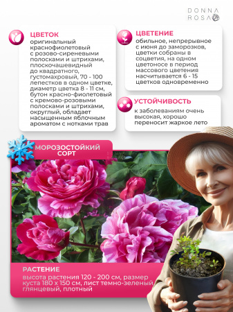 INES SASTRE (ИНЕС САСТРЕ) №20