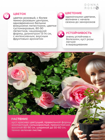 RAGAZZA (РАГАЦЦА) №43