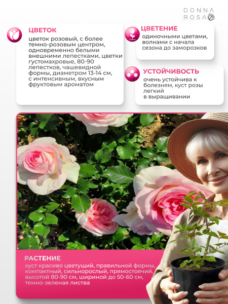 RAGAZZA (РАГАЦЦА) №43