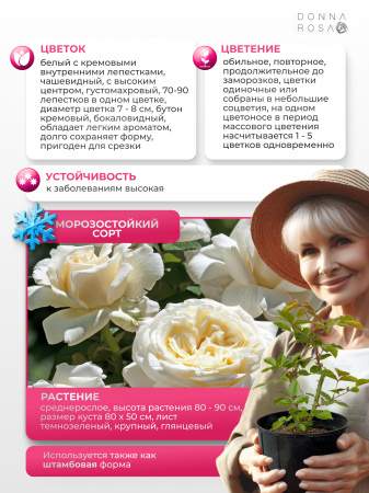 ARIANE DE ROTHSCHILD (АРИАНЕ ДЕ РОСЧАЙЛД) №47