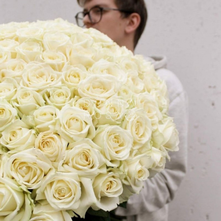 Букет из 201 белой розы Аваланж (Avalanche 60 см)