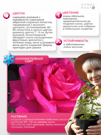 KAZATCHOK (КАЗАЧОК) №44