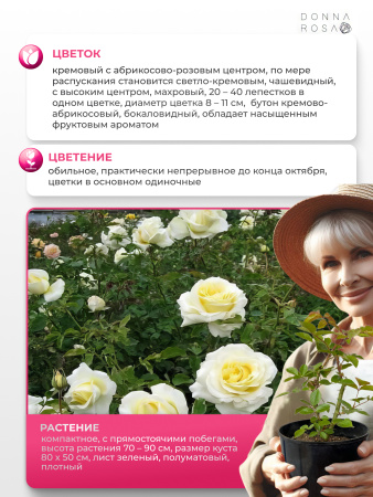 AMBASSADOR (АМБАСАДОР) №46