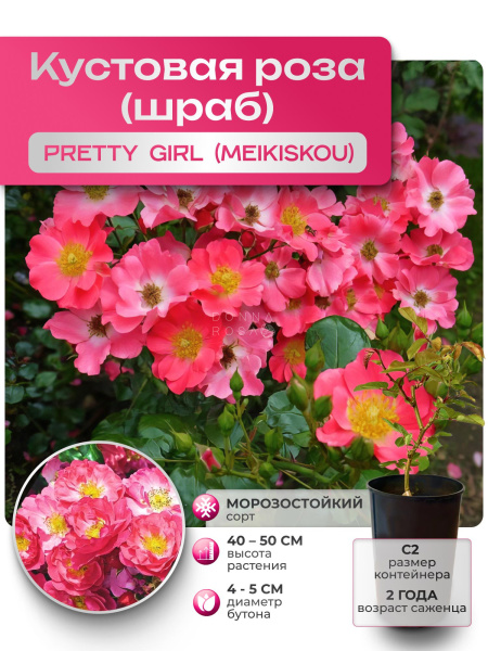 PRETTY GIRL (ПРИТТИ ГЕРЛ) №07