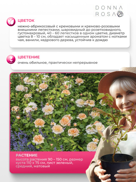 THE LADY GARDENER (ЗЕ ЛЕДИ ГАРДЕНЕР) №68