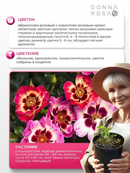 BLUSHING BABYLON EYES (БЛАШИНГ БАБИЛОН АЙЗ) №28