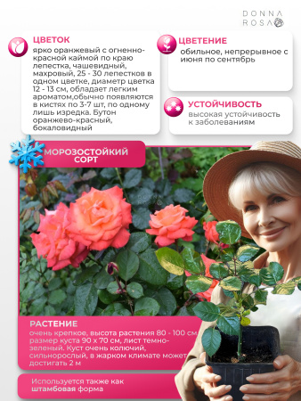 Christophe colomb (ХРИТОФОР КОЛУМБ) №110