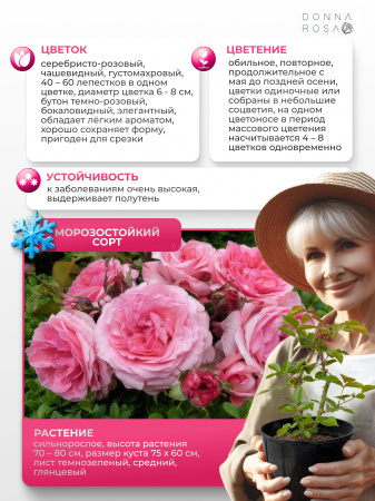 PRINCESSE GABRIELLA  (ПРИНЦЕССА ГАБРИЕЛЛА) №57