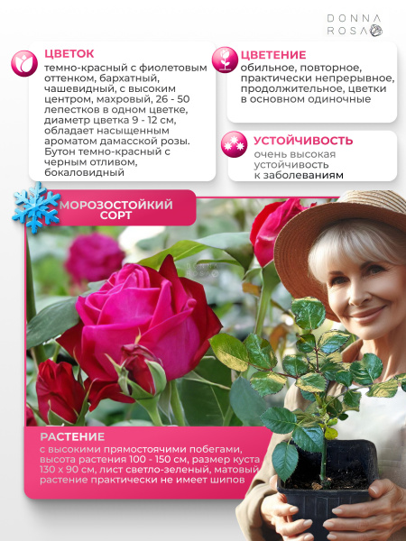 SMOOTH VELVET (СМУС ВЕЛЬВЕТ) №106