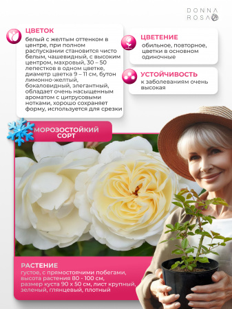 JEANNE COEUR (ЖИАН КЕР) №50