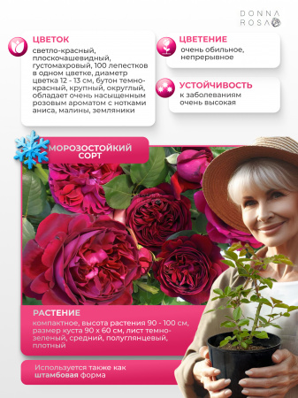 ALAIN SOUCHON (АЛАН СУШОН) №45