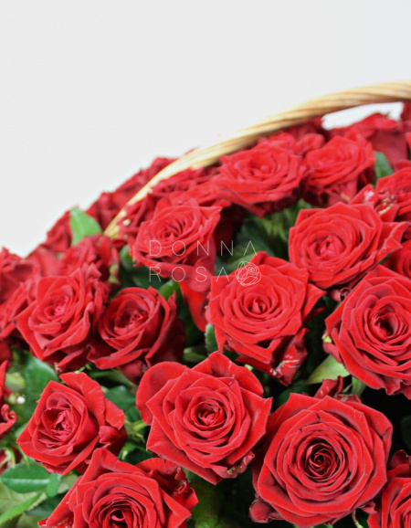 Корзина из 151 розы Red Naomi