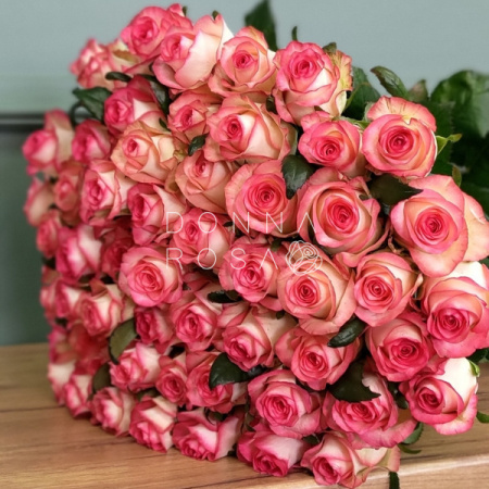 Букет 51 роза Джумилия под ленту  60 см