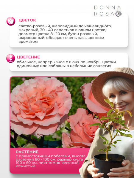 ANNE SOPHIE PIC (ЭНН СОФИ ПИК) №16