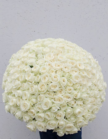 Букет из 201 белой розы Аваланж (Avalanche 60 см)