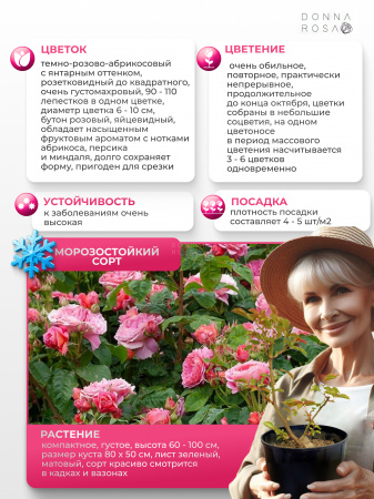 PICK’N GO (ПИК ЭН ГОУ) №35