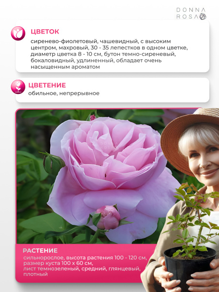 LIPARFUM (ЛИПАРФУМ) №99