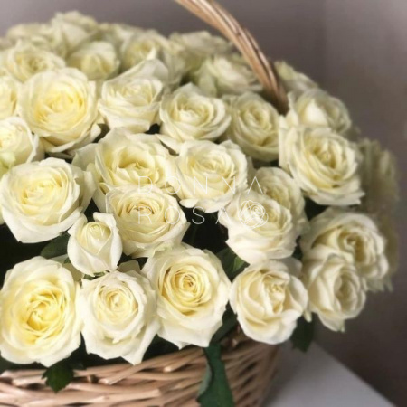 Корзина из 151 розы Avalanche