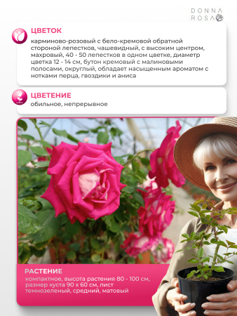 MONICA BELLUCCI (МОНИКА БЕЛУЧЧИ) №52