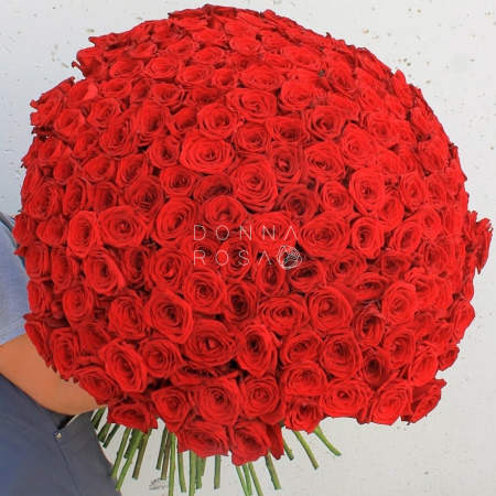 Букет из 201 красной розы Ред Наоми (Red Naomi 60 см) Букет из 201 красной розы Ред Наоми (Red Naomi 60 см)